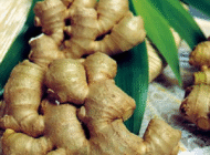 Thực phẩm tốt cho đường tiêu hóa