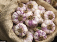 Tác dụng không ngờ của tỏi
