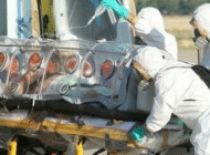 <b>Thế giới xuất hiện nhiều bệnh lạ do biến đổi khí hậu</b><br />Theo các nhà khoa học, biến... Thế giới xuất hiện nhiều bệnh lạ do biến đổi khí hậu