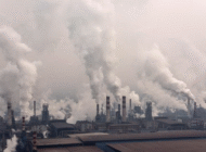 WHO: 4 người chết thì có 1 người chết do ô nhiễm