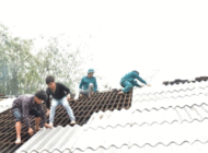 Đề xuất sử dụng amiăng trắng có kiểm soát