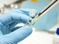 <b>Việt Nam tham gia nghiên cứu phát minh ra vắc-xin ngừa sốt xuất huyết</b><br />Chiều ngày 3/11, ViệnPasteur TP.HCM đã... Việt Nam tham gia nghiên cứu phát minh ra vắc-xin ngừa sốt xuất huyết