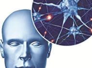 <b>“Vũ khí” mới chặn cơn động kinh</b><br />Trong vòng một thập kỷ tới,... “Vũ khí” mới chặn cơn động kinh