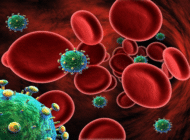<b>HIV biến chủng sang dạng “bớt dữ dội”</b><br />Một nghiên cứu mới đây cho... HIV biến chủng sang dạng “bớt dữ dội”