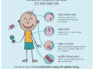 Bệnh do phế cầu