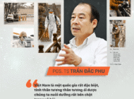 Chúng ta ngheo hơn Mỹ, Nhật, Hàn nhưng Việt Nam là quốc gia đặc biệt có chiến thuật rất đặc biệt