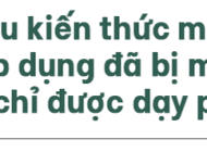 TS Từ Ngữ: Bí quyết sống khỏe là một “vòng tròn khép kín”; con em chúng ta đang mất gốc! – Phần 2￼