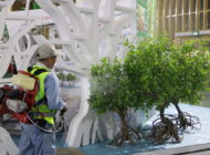 Thông tin tình hình dịch bệnh trên địa bàn thành phố Hà Nội từ ngày 31/10 đến 7/11