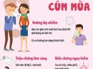 Tin ảnh – Những điều cần biết về cúm mùa