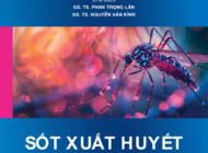 Sốt xuất huyết DENGUE