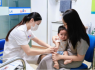 Ứng phó với dịch bệnh Nipah trong dịp Tết